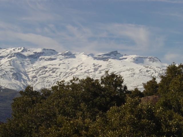 Cortijo Prado Toro Apartment Pitres Exterior photo