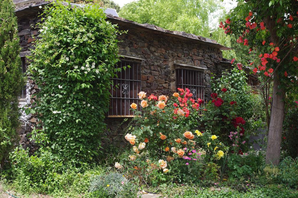 Cortijo Prado Toro Apartment Pitres Exterior photo